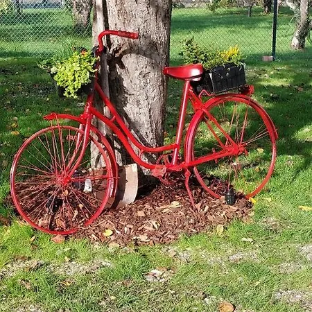 Au Pommier Fleuri Et Son Indépendant 4* Drusenheim