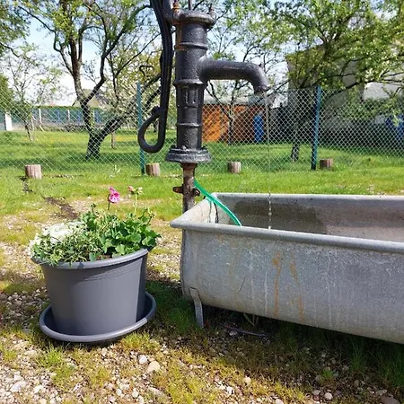 Au Pommier Fleuri Et Son 