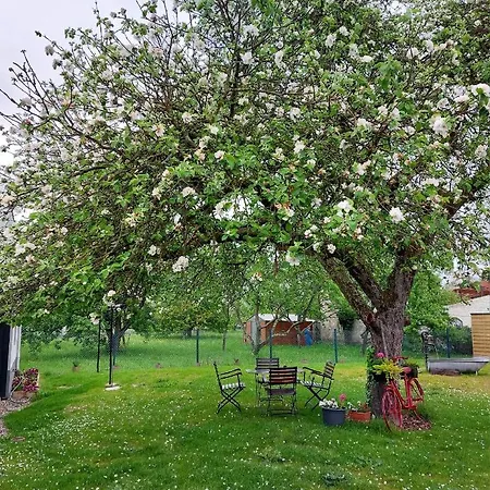 Au Pommier Fleuri Et Son 