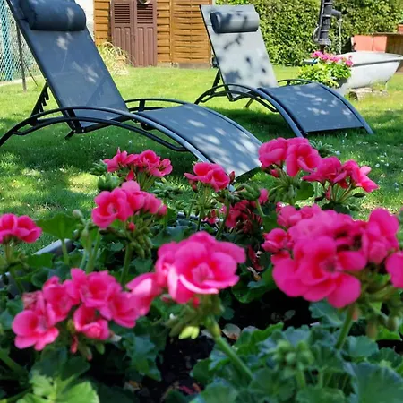 Au Pommier Fleuri Et Son 