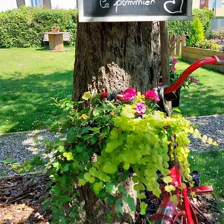 Guest house Au Pommier Fleuri Et Son 