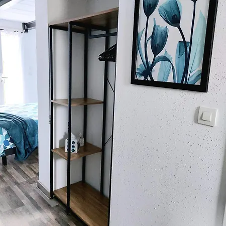 Au Pommier Fleuri Et Son Indépendant Maison d'hôtes Drusenheim